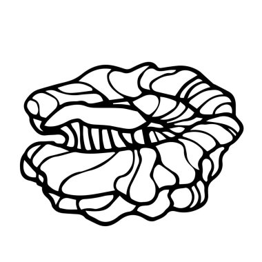 ceviz çekirdeğinin bir parçası, dekoratif bir süs ya da desen elementi, siyah çizgili vektör çizgileri ile izole edilmiş beyaz arka plan Doodle ve el çizimi tarzı