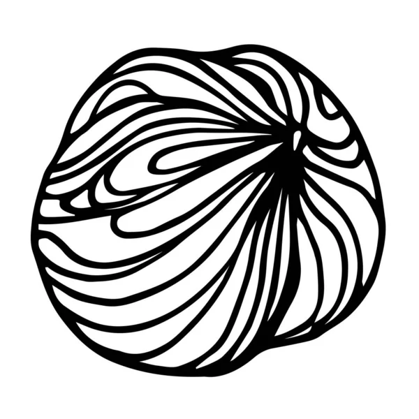 Очищенное Ядро Фундука Простой Элемент Декоративного Орнамента Рисунка Векторная Иллюстрация — стоковый вектор