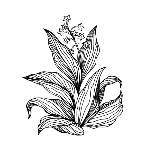 Arbusto Tabaco Con Flores Hojas Planta Agrícola Ilustración Vectorial Con — Vector de stock