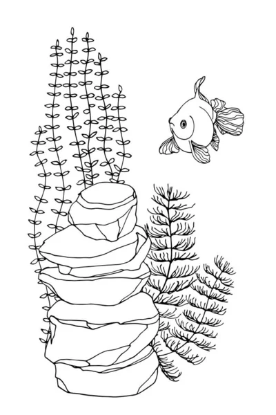 中国甲壳类动物 水族馆内部元素 装饰岩石 白色背景上孤立的线形矢量和手绘图案 — 图库矢量图片