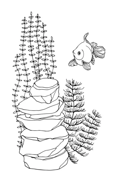 Guldfisk Kinesisk Kryssare Uppsättning Akvarium Inredningselement Alger Dekorativ Sten Vektor — Stock vektor