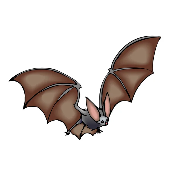 Flying Cute Funny Brown Long Eared Bat Color Vector Illustration — Stock Vector