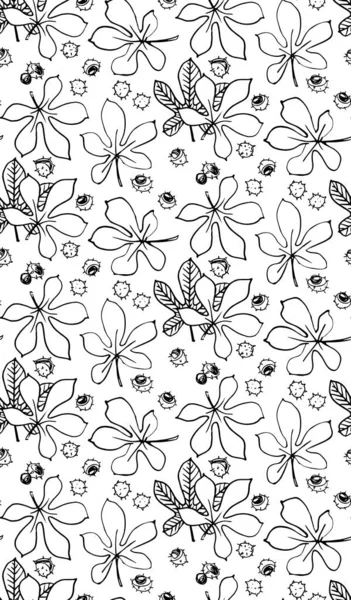Motif Floral Sans Couture Noir Blanc Feuilles Noix Châtaignier Lignes — Image vectorielle