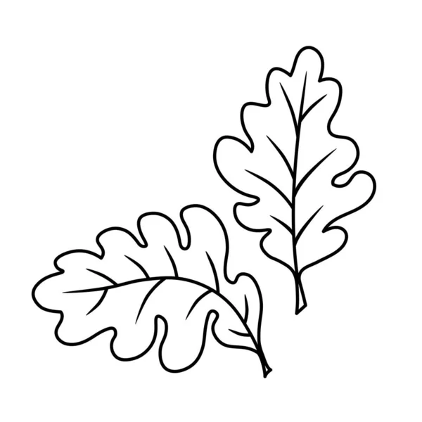用橡树叶制成的黑白花卉装饰元素 简单的装饰品或图案 用墨水表示的矢量图形 以及用手绘风格在白色背景上隔离的等高线 — 图库矢量图片