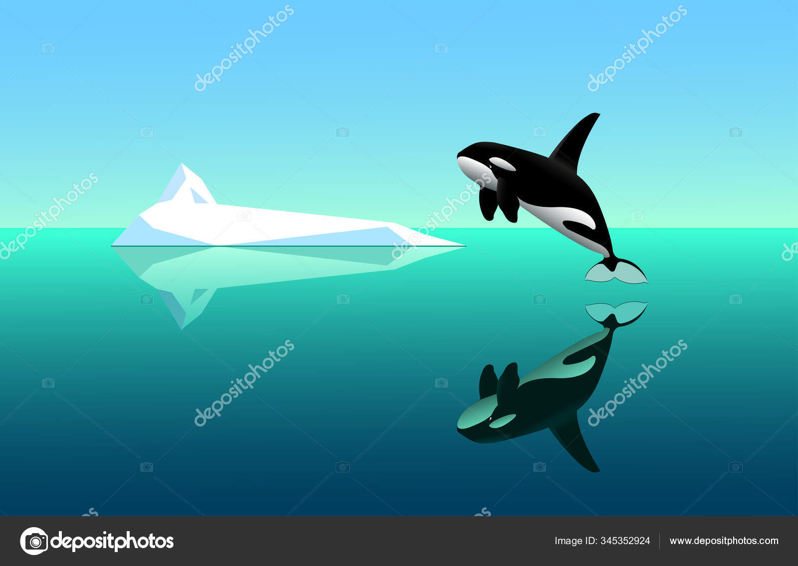 Predação de orca em uma baleia azul : r/HardcoreNature, image size:1600x1136