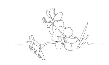 Baharın sembolü, gençlik, paskalya, süs, düğün kartpostalları için desen, elde çizilmiş beyaz arkaplanda izole edilmiş siyah ince hatlı vektör çizimi.