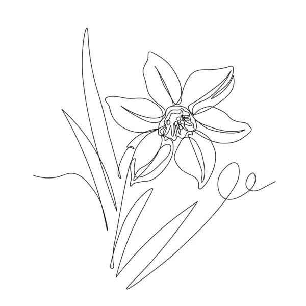 Одинарна Квітка Нарциса Листям Символ Весни Молоді Великодня Орнамент Візерунок — стоковий вектор
