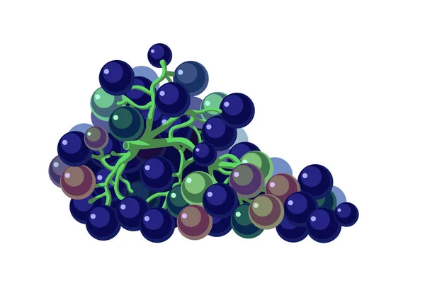Bunch Dark Blue Grape Berries Green Branches Element Logo Icon — Stock Vector