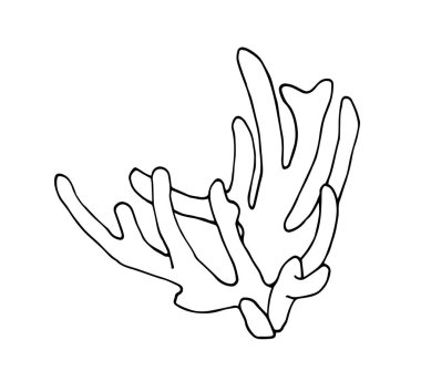 Deniz boynuzlu mercan dalı, deniz tabanında polip, hatıra ya da akvaryum elementi, karalama ve el çizimi tarzında beyaz arka planda izole edilmiş siyah çizgili vektör çizgileri olan vektör çizimi