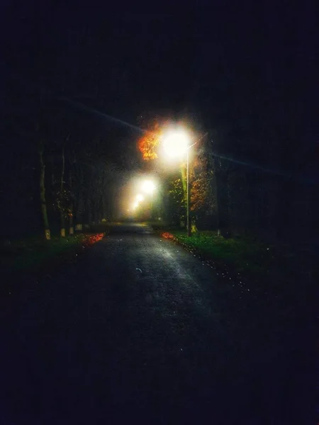 Camino Nocturno Bajo Luz Las Linternas — Foto de Stock