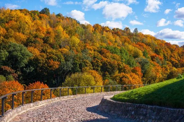 renkli ağaçlar ile sonbahar park
