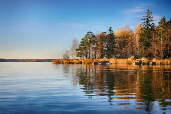 göl ve sonbaharda ağaçlar.
