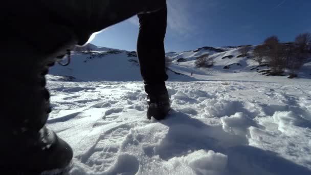 Молодая Женщина Черном Жилете Шагающая Снегу Улыбается — стоковое видео