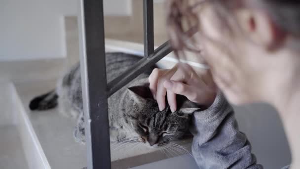 小女孩爱抚睡在楼梯上的胖胖的猫 — 图库视频影像