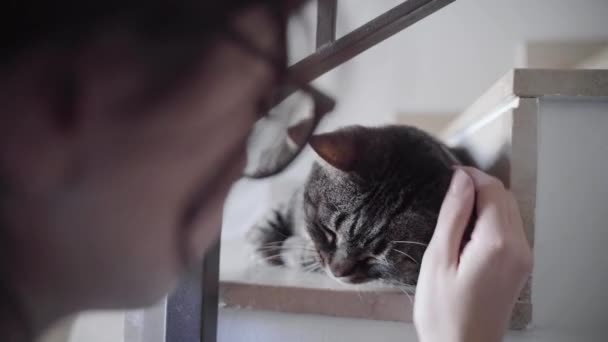 Junges Mädchen Streichelt Gestromte Katze Die Auf Der Treppe Schläft — Stockvideo