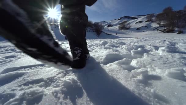 Young Woman Black Vest Walking Snow Sunbeams — Stock Video