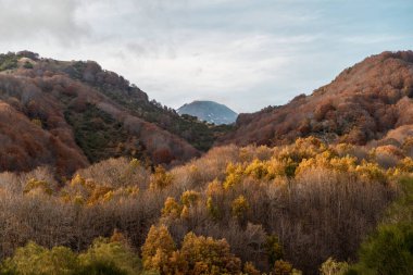 Dağlarda sonbahar mevsimi Volkan Etna, Sicilya, İtalya 'da renkli ağaçlar