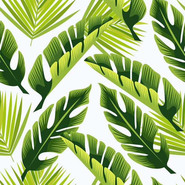 Ornamento tropical. hojas verdes . — Vector de stock