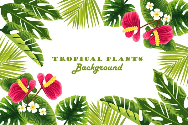 Plantas tropicales. marco. fondo. marco . — Archivo Imágenes Vectoriales