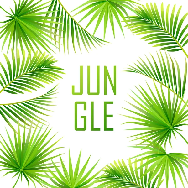 Tropical Background Jungle Frame Vector Illustration — Stock Vector