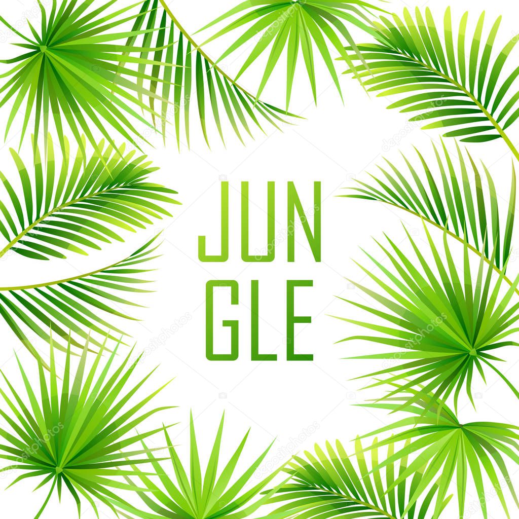 tropical background. jungle. frame. vector illustration