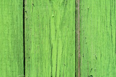 Eski ahşap arka plan yeşil rengi