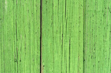 Eski ahşap arka plan yeşil rengi