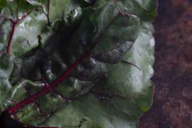 İğrenç yemekler. Paslı, güzel bir metal yüzeyde pancar ve pancar yaprakları.