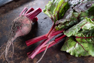 İğrenç yemekler. Paslı, güzel bir metal yüzeyde pancar ve pancar yaprakları.