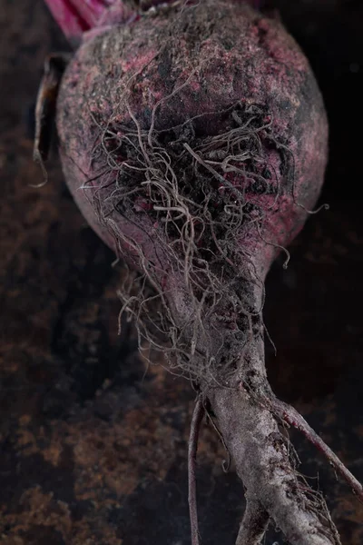 Ugly food. beet roots on a rusty beautiful metal surface. — Stock Photo, Image