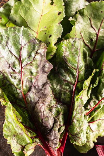 Comida fea. Remolacha y hojas de remolacha sobre una hermosa superficie metálica oxidada . —  Fotos de Stock