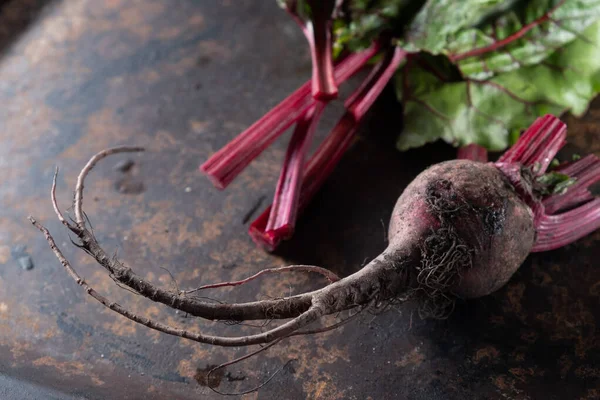 Lelijk eten. Bieten en bietenbladeren op een roestig mooi metalen oppervlak. — Stockfoto