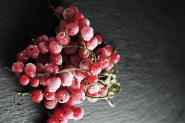 Donmuş böğürtlen üzümleri, levha tabaklarına saçılmış stoklanmış buzla kaplıdır..
