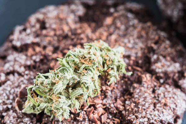 Biscuits aux pépites de chocolat avec de la marijuana, saupoudrés de pépites de chocolat et de cannabis, sont sur un plat d'ardoise . — Photo