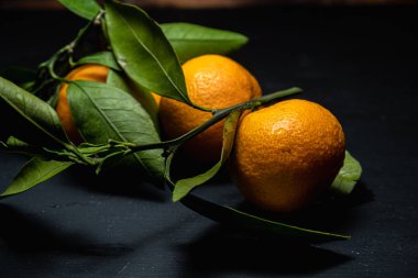 Karanlık bir yüzeyde yapraklı üç mandalina vardır..