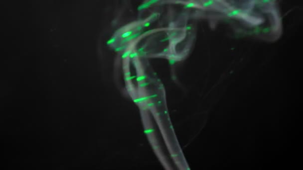 Smoke is illuminated by laser beams in the dark. close up — Stockvideo