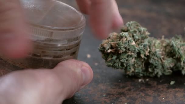 Moagem de maconha em um velho moedor perto do botão de cannabis medicinal — Vídeo de Stock