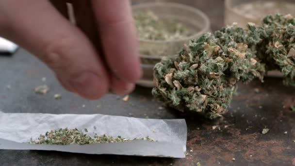 Видео ролики марихуаны марихуана от запоя