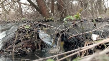 Ekolojik felaket. Bahar temizliği deresi plastik çöp şişeleriyle kirlenmiş. 4k