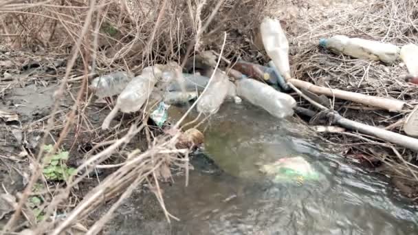 Umweltkatastrophe Frühjahrsputz Bach Mit Plastikmüllflaschen Verunreinigt — Stockvideo