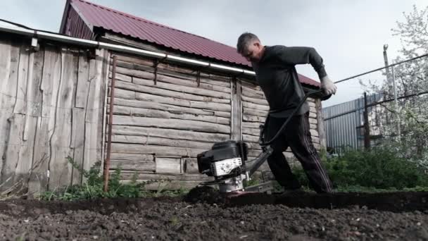 Yaşlı çiftçi büyük bir gayretle toprağı sürmeye çalışıyor. Çok zor bir iş. 4k — Stok video
