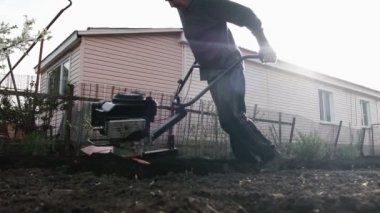 Yaşlı çiftçi büyük bir gayretle toprağı sürmeye çalışıyor. Çok zor bir iş. 4k