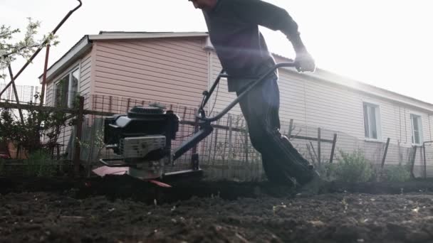 Viejo labrador arada la tierra con un gran esfuerzo motoblock. Un trabajo muy duro. 4k — Vídeos de Stock