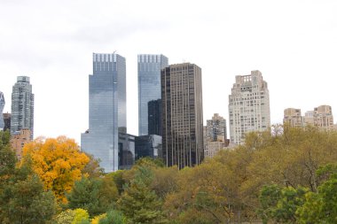 New York Şehri, Central Park 'taki ağaçların arasından görünen binalar..