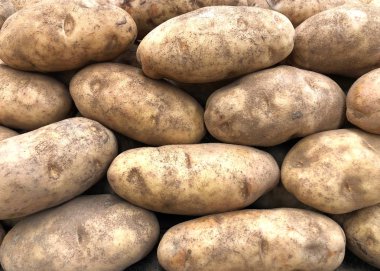 Amerika 'da Idaho patatesi olarak da bilinen Russet patatesi yığınına yaklaş. Pişirmek, ezmek ve patates kızartması yapmak için ideal..