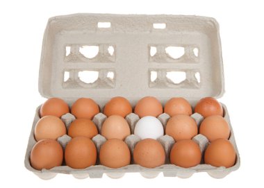 Bir karton kahverengi yumurta ve bir beyaz yumurta.. 