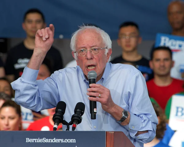 Richmond Feb 2020 Presidential Candidate Bernie Sanders Speaking Rally Richmond — Stockfoto