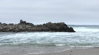 01 _ 01 _ 20 _ 4K HD Video Monterey Dalgaları 2