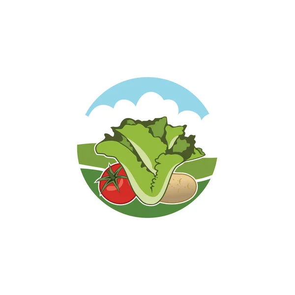 Vektor Farm Logo Design Mit Salat Tomaten Und Kartoffeln Icon — Stockvektor