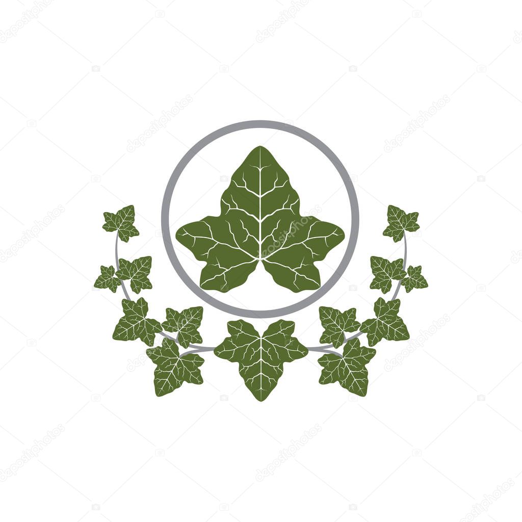 Vector of Ivy leaf design eps format, suitable for your design needs, logo, illustration, animation, etc.